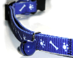 Leash.gif (33979 bytes)